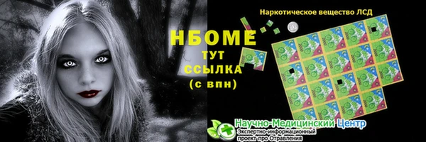 стаф Гусь-Хрустальный
